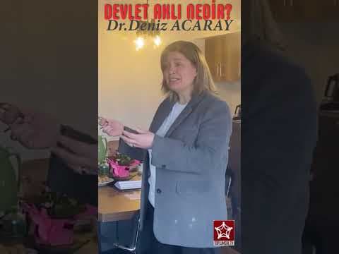 Devlet Aklı Nedir?
